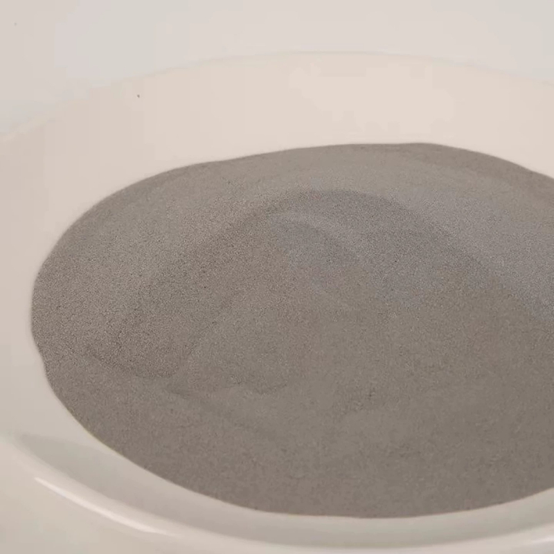ผงสแตนเลส 304 ขนาด 500 กรัม สำ - 3D Printing Steel บทวิจารณ์และราคา